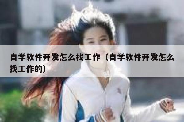 自学软件开发怎么找工作（自学软件开发怎么找工作的） 第1张