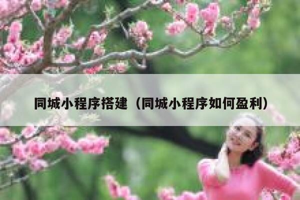 同城小程序搭建（同城小程序如何盈利） 第1张