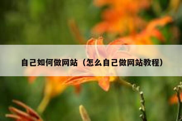 自己如何做网站（怎么自己做网站教程） 第1张