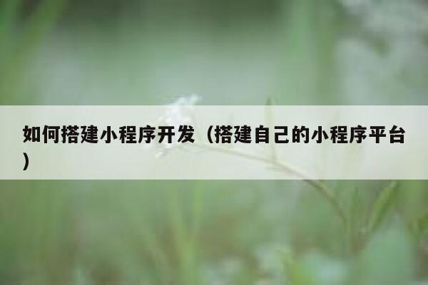 如何搭建小程序开发（搭建自己的小程序平台） 第1张