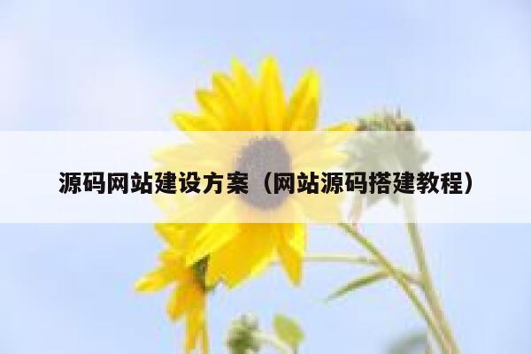 源码网站建设方案（网站源码搭建教程） 第1张
