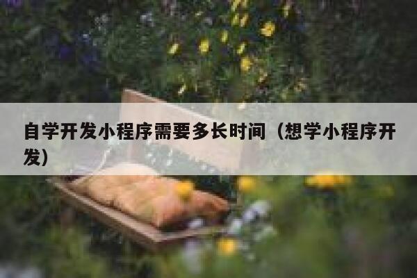 自学开发小程序需要多长时间（想学小程序开发） 第1张