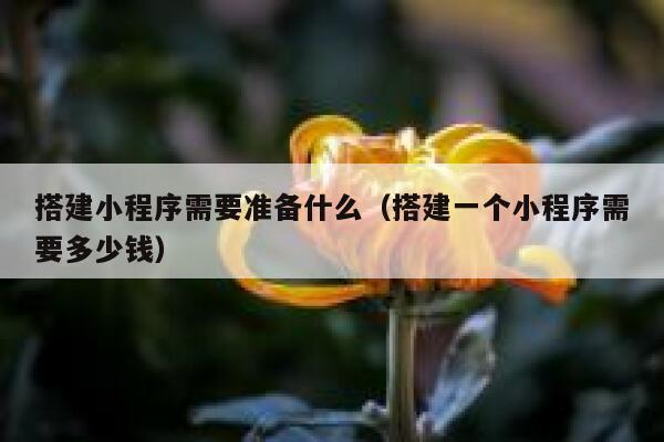 搭建小程序需要准备什么（搭建一个小程序需要多少钱） 第1张