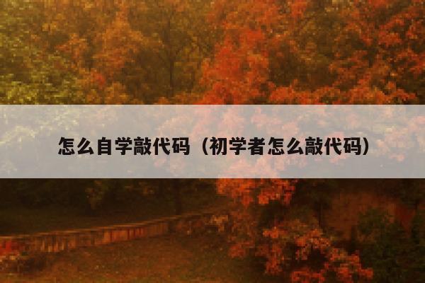 怎么自学敲代码（初学者怎么敲代码） 第1张