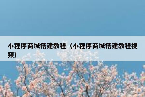 小程序商城搭建教程（小程序商城搭建教程视频） 第1张