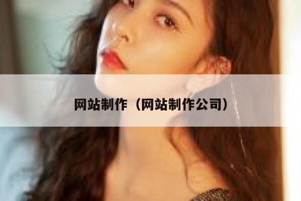 网站制作（网站制作公司） 第1张