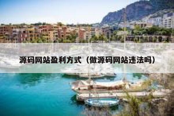 源码网站盈利方式（做源码网站违法吗） 第1张
