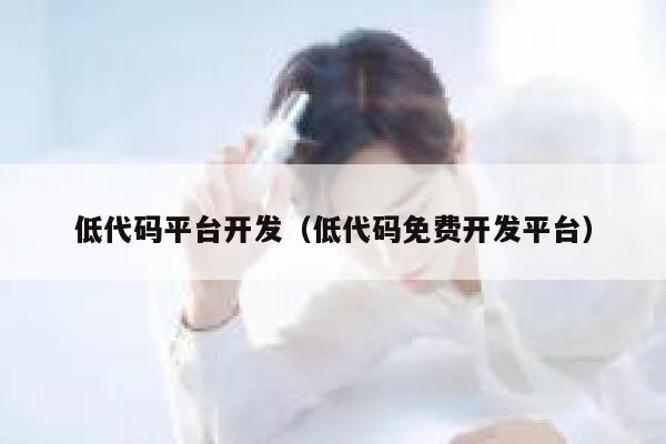 低代码平台开发（低代码免费开发平台） 第1张