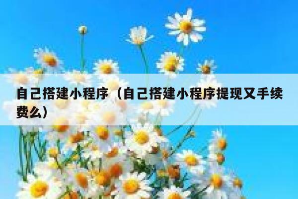 自己搭建小程序（自己搭建小程序提现又手续费么） 第1张