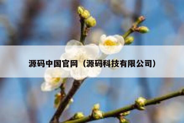 源码中国官网（源码科技有限公司） 第1张