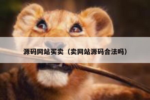 源码网站买卖（卖网站源码合法吗） 第1张