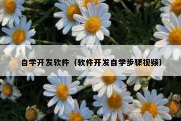 自学开发软件（软件开发自学步骤视频） 第1张