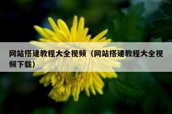 网站搭建教程大全视频（网站搭建教程大全视频下载） 第1张