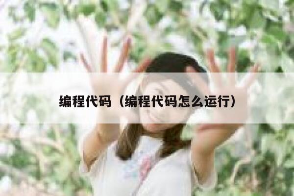 编程代码（编程代码怎么运行） 第1张