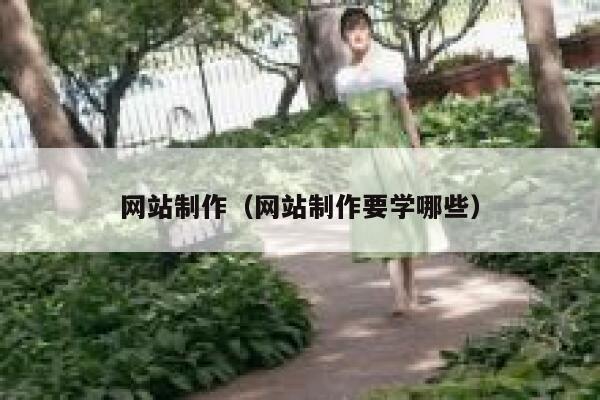 网站制作（网站制作要学哪些） 第1张