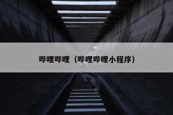 哔哩哔哩（哔哩哔哩小程序） 第1张