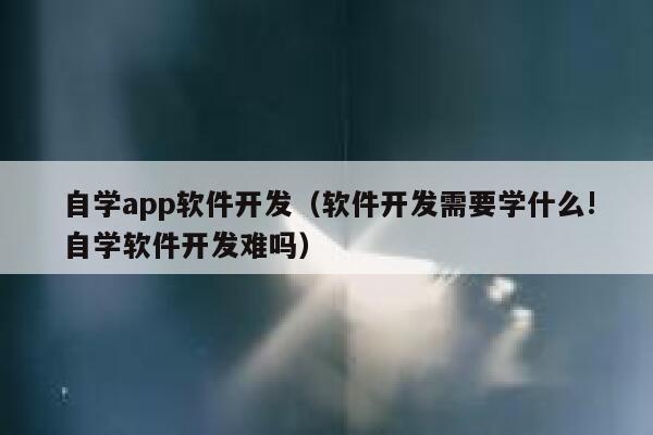 自学app软件开发（软件开发需要学什么!自学软件开发难吗） 第1张