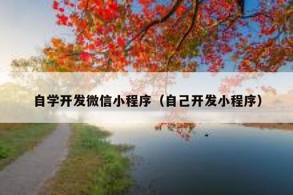 自学开发微信小程序（自己开发小程序） 第1张