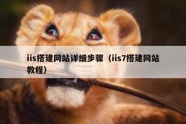 iis搭建网站详细步骤（iis7搭建网站教程） 第1张