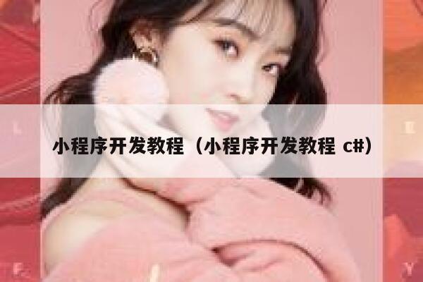 小程序开发教程（小程序开发教程 c#） 第1张
