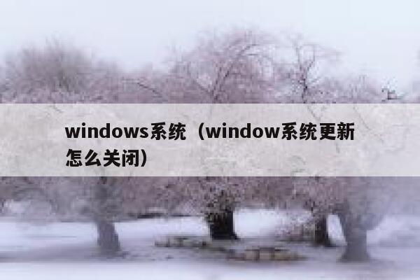 windows系统（window系统更新怎么关闭） 第1张