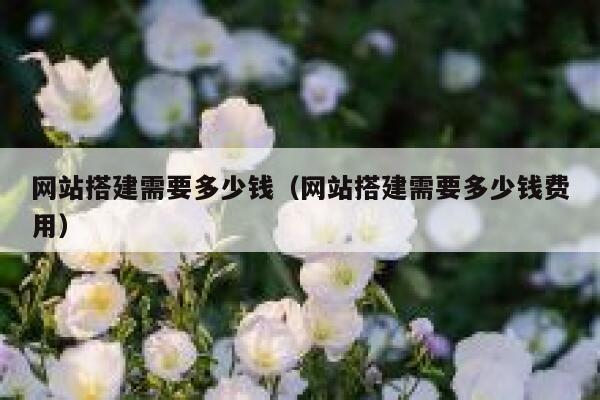 网站搭建需要多少钱（网站搭建需要多少钱费用） 第1张