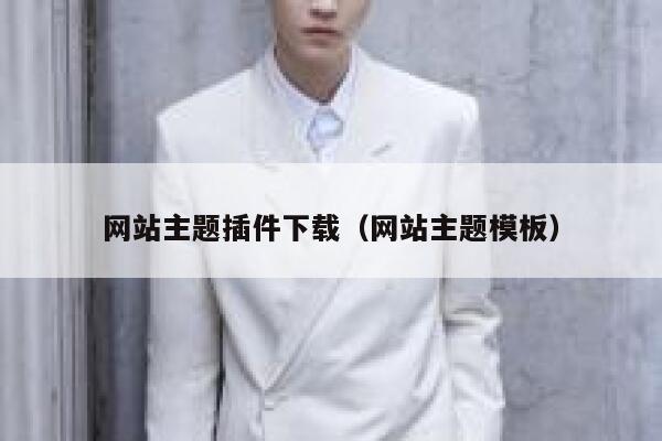 网站主题插件下载（网站主题模板） 第1张