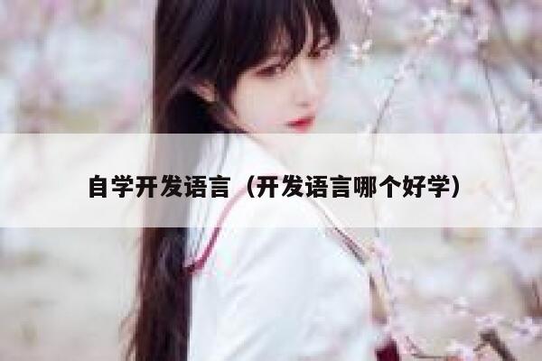自学开发语言（开发语言哪个好学） 第1张