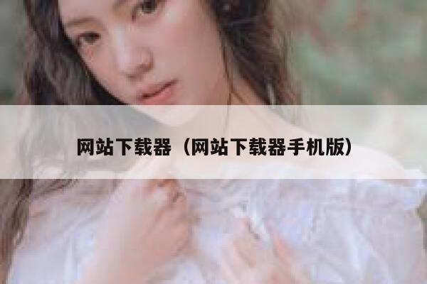 网站下载器（网站下载器手机版） 第1张