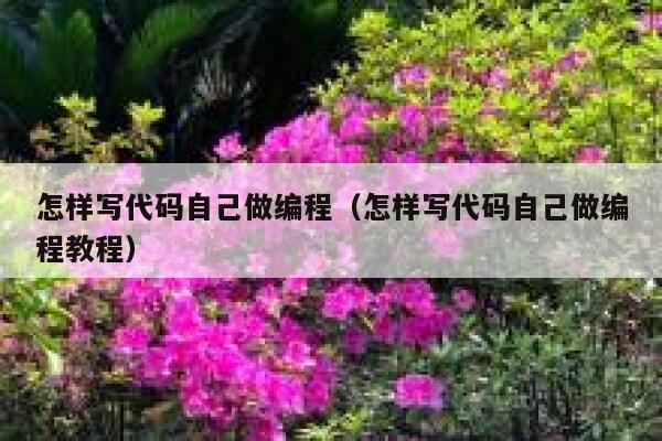 怎样写代码自己做编程（怎样写代码自己做编程教程） 第1张