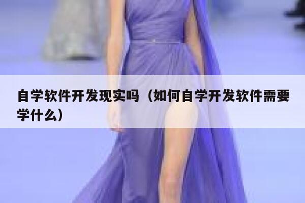 自学软件开发现实吗（如何自学开发软件需要学什么） 第1张