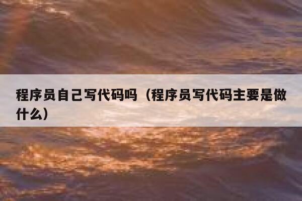 程序员自己写代码吗（程序员写代码主要是做什么） 第1张