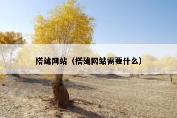 搭建网站（搭建网站需要什么） 第1张