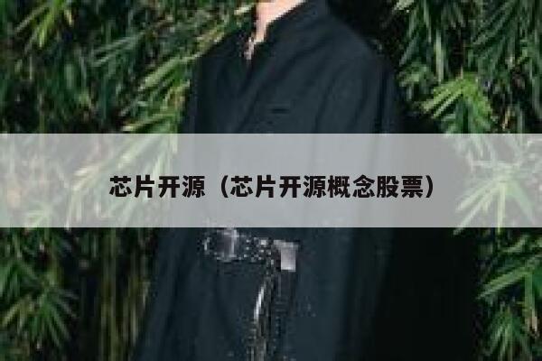 芯片开源（芯片开源概念股票） 第1张