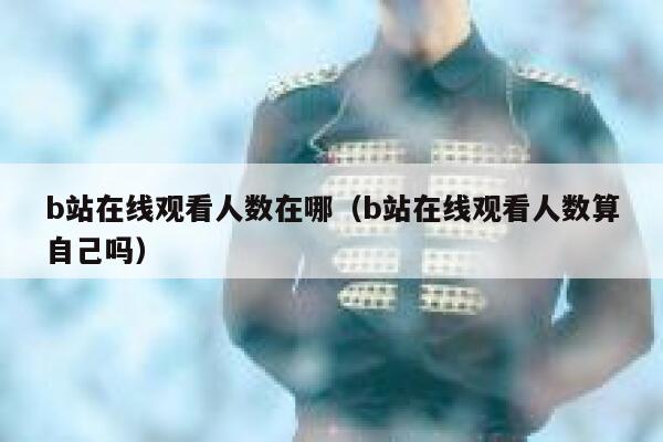 b站在线观看人数在哪（b站在线观看人数算自己吗） 第1张