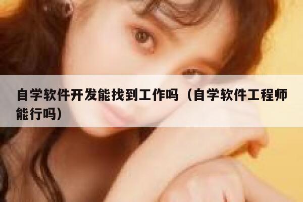 自学软件开发能找到工作吗（自学软件工程师能行吗） 第1张