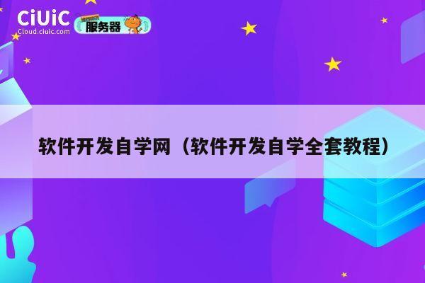 软件开发自学网（软件开发自学全套教程） 第1张