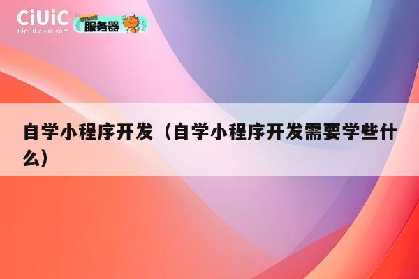 自学小程序开发（自学小程序开发需要学些什么） 第1张