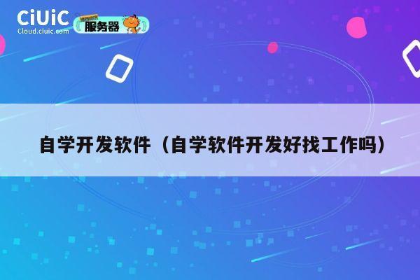 自学开发软件（自学软件开发好找工作吗） 第1张