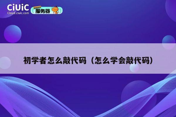 初学者怎么敲代码（怎么学会敲代码） 第1张