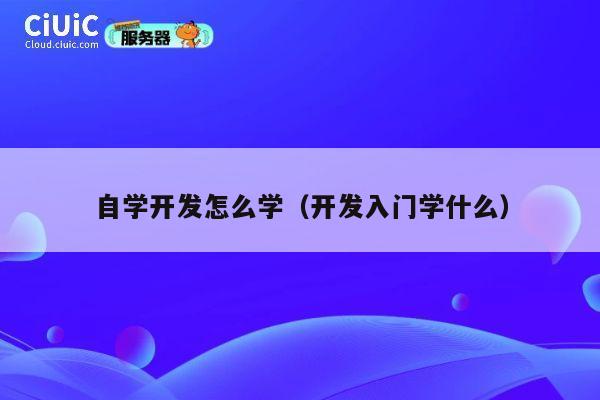 自学开发怎么学（开发入门学什么） 第1张