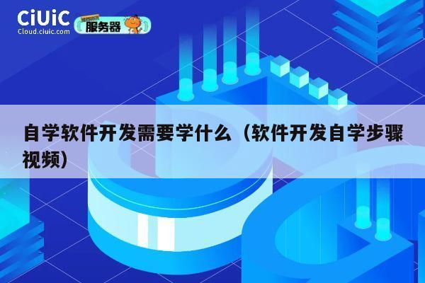 自学软件开发需要学什么（软件开发自学步骤视频） 第1张