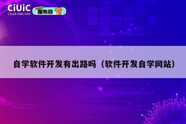 自学软件开发有出路吗(软件开发自学网站) 第1张 自学软件开发有出路吗(软件开发自学网站) 第1张