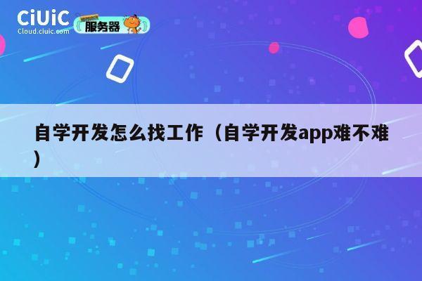 自学开发怎么找工作（自学开发app难不难） 第1张