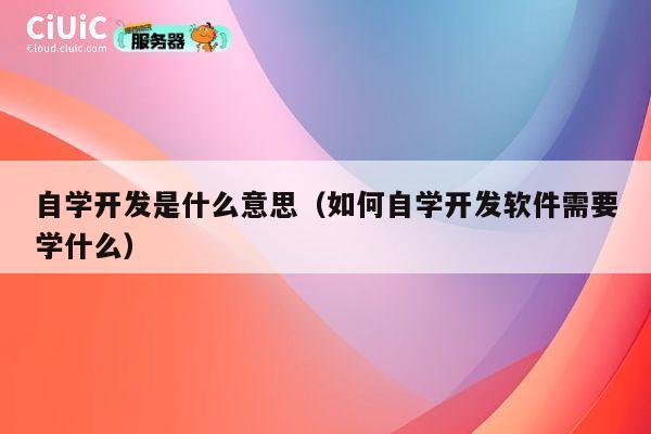 自学开发是什么意思（如何自学开发软件需要学什么） 第1张