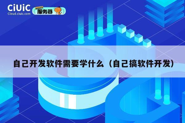 自己开发软件需要学什么(自己搞软件开发) 第1张 自己开发软件需要学什么(自己搞软件开发) 第1张