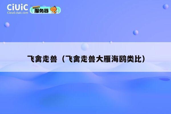 飞禽走兽(飞禽走兽大雁海鸥类比) 第1张 飞禽走兽(飞禽走兽大雁海鸥类比) 第1张