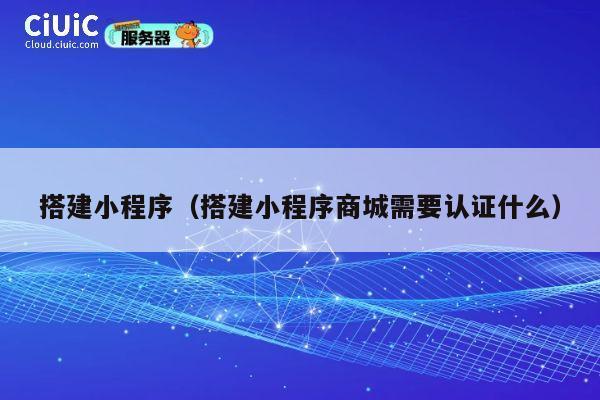 搭建小程序(搭建小程序商城需要认证什么) 第1张 搭建小程序(搭建小程序商城需要认证什么) 第1张