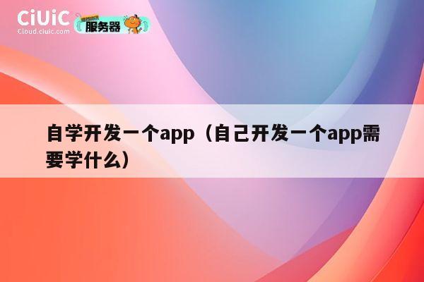 自学开发一个app（自己开发一个app需要学什么） 第1张