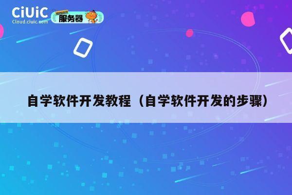 自学软件开发教程（自学软件开发的步骤） 第1张